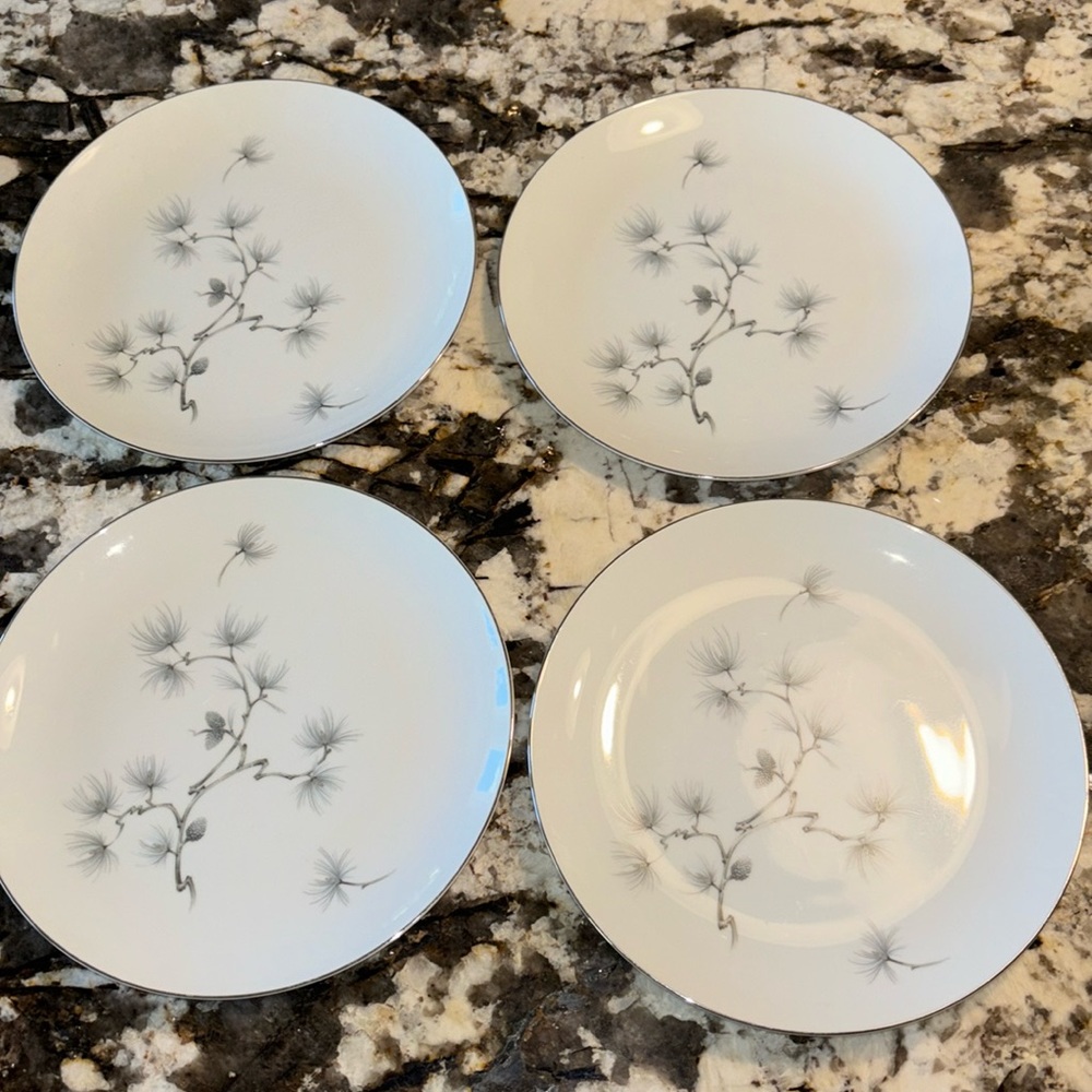 Amcrest fine China dinner plates